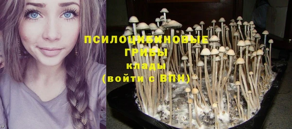 мяу мяу мука Балахна