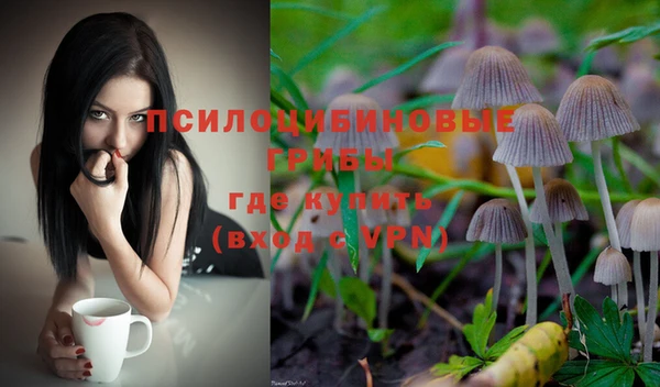 мет Баксан